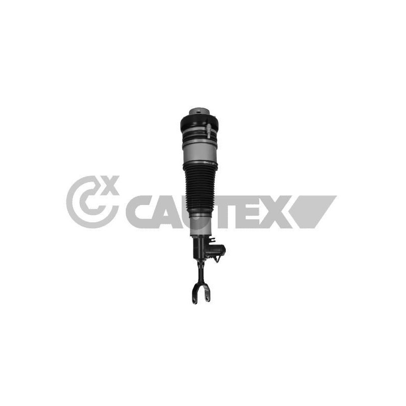 Ammortizzatore asse anteriore - CAUTEX GOMMA E PARTI MOTORE