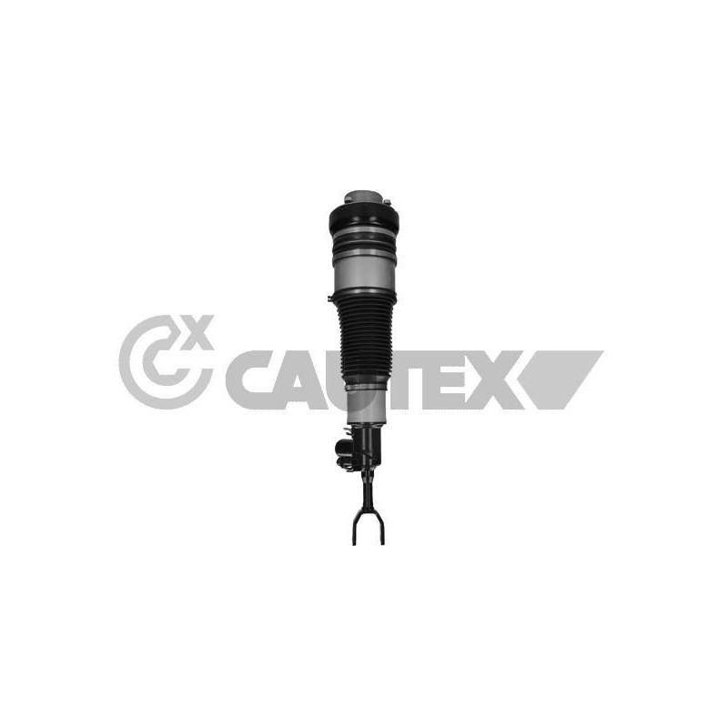 Ammortizzatore asse anteriore - CAUTEX GOMMA E PARTI MOTORE