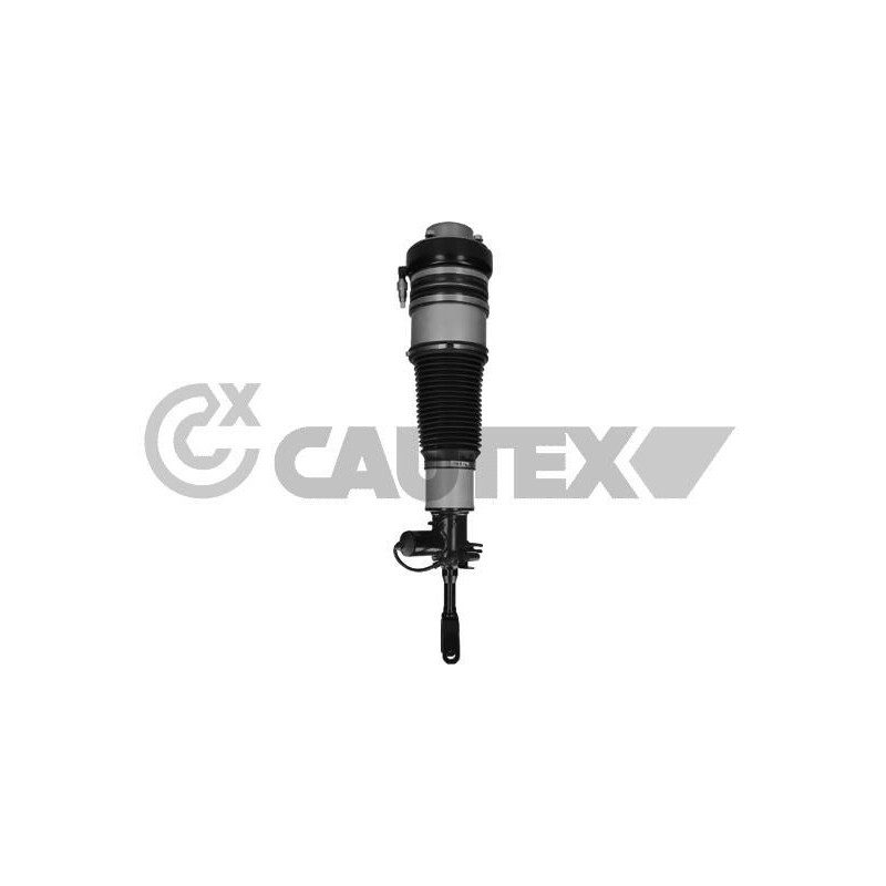 Ammortizzatore asse anteriore - CAUTEX GOMMA E PARTI MOTORE