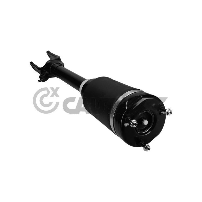 Ammortizzatore asse anteriore - CAUTEX GOMMA E PARTI MOTORE