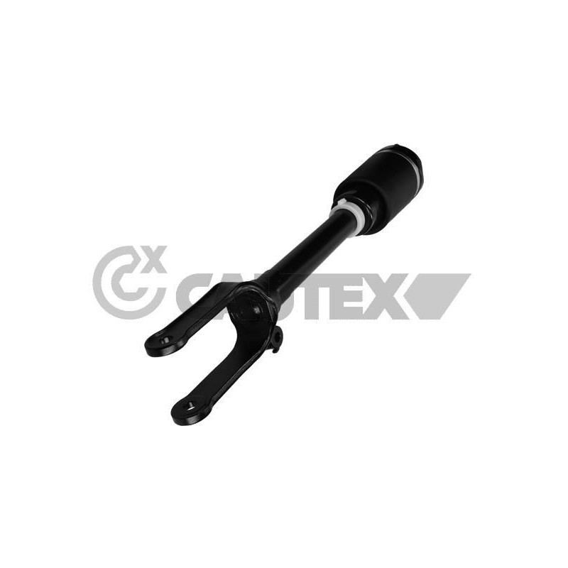 Ammortizzatore asse anteriore - CAUTEX GOMMA E PARTI MOTORE