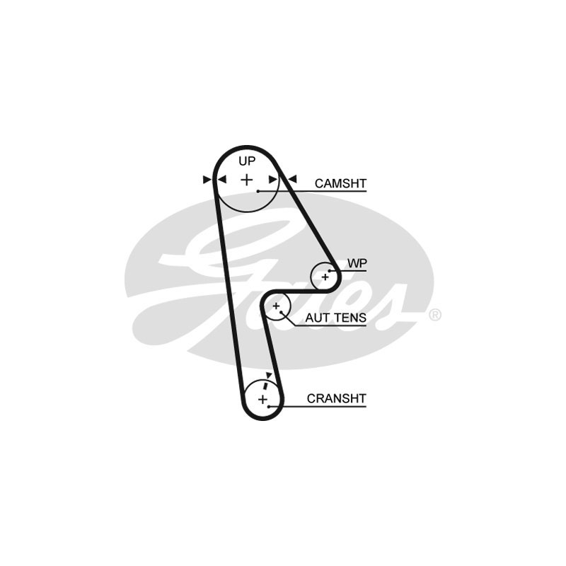 Kit distribuzione - GATES