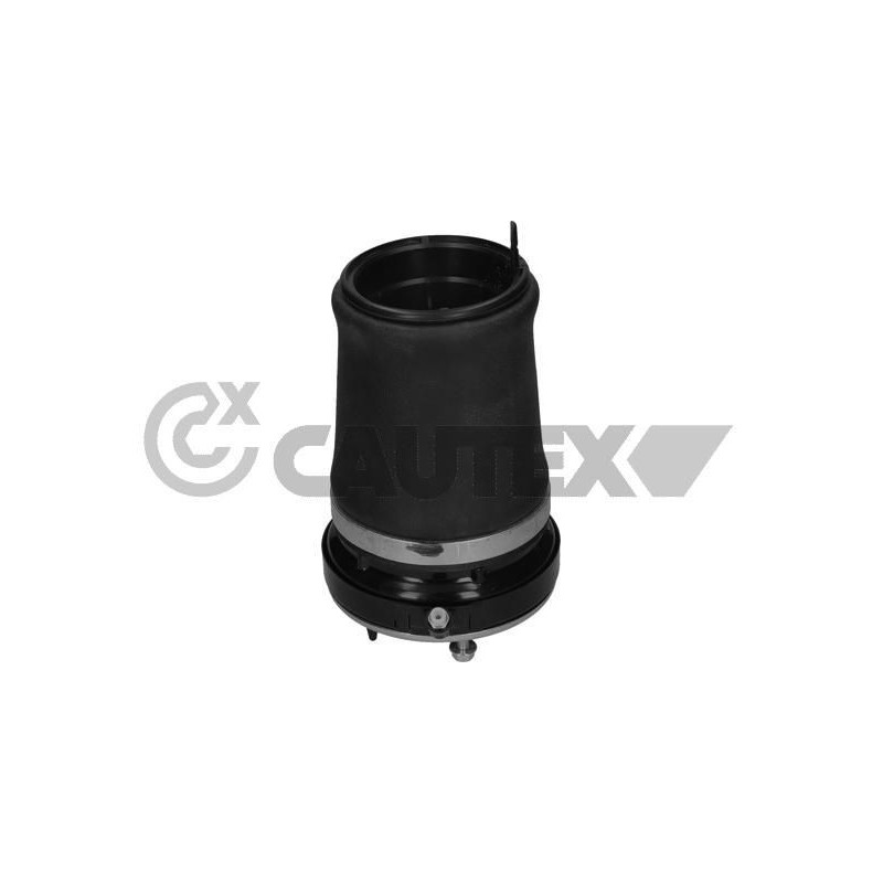 Ammortizzatore asse anteriore - CAUTEX GOMMA E PARTI MOTORE