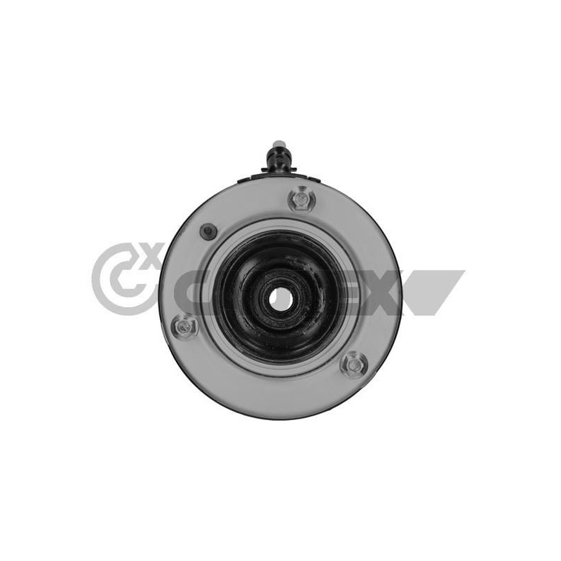 Ammortizzatore asse anteriore - CAUTEX GOMMA E PARTI MOTORE