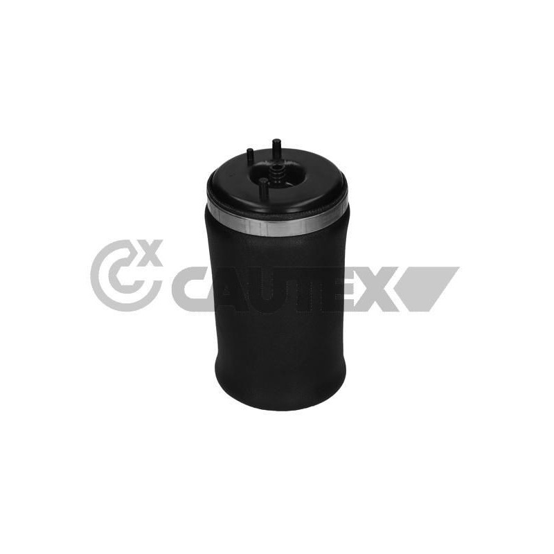 Ammortizzatore asse posteriore - CAUTEX GOMMA E PARTI MOTORE