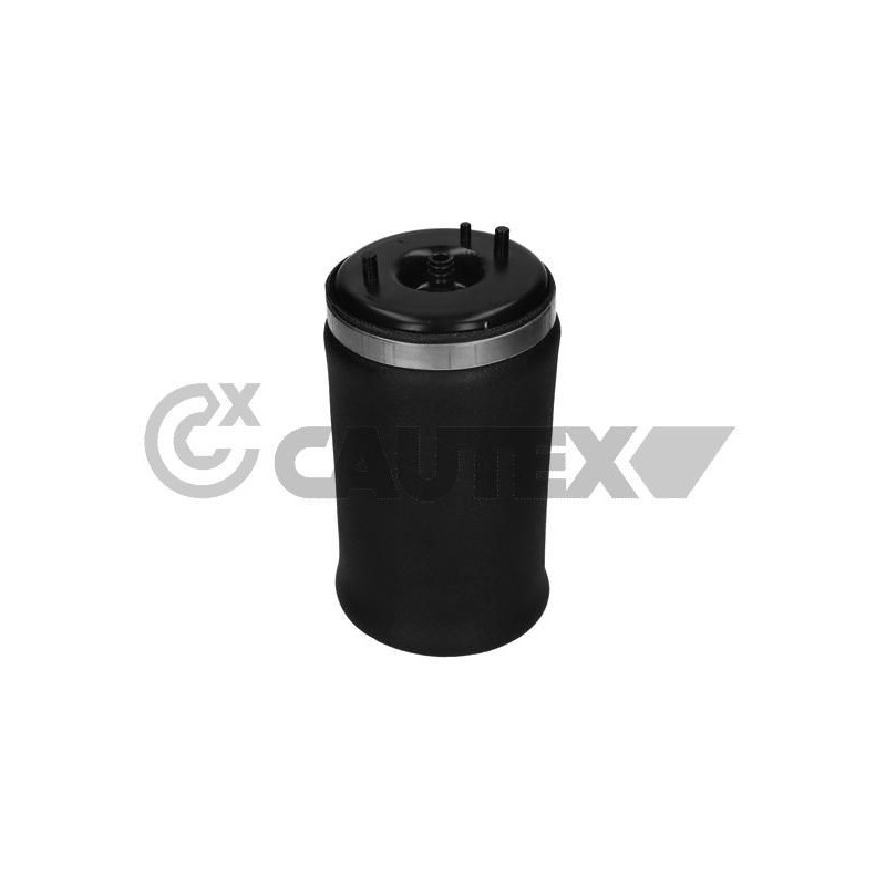 Ammortizzatore asse posteriore - CAUTEX GOMMA E PARTI MOTORE