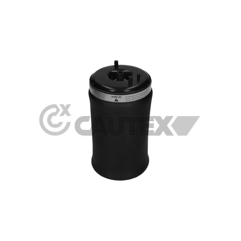 Ammortizzatore asse posteriore - CAUTEX GOMMA E PARTI MOTORE