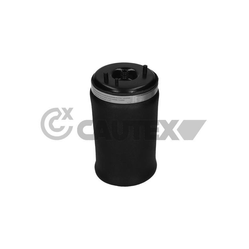 Ammortizzatore asse posteriore - CAUTEX GOMMA E PARTI MOTORE