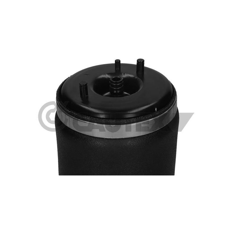 Ammortizzatore asse posteriore - CAUTEX GOMMA E PARTI MOTORE