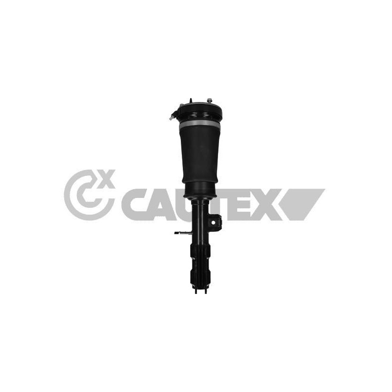 Ammortizzatore asse anteriore - CAUTEX GOMMA E PARTI MOTORE