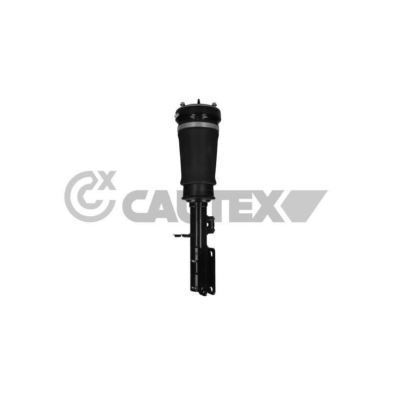 Ammortizzatore asse anteriore - CAUTEX GOMMA E PARTI MOTORE