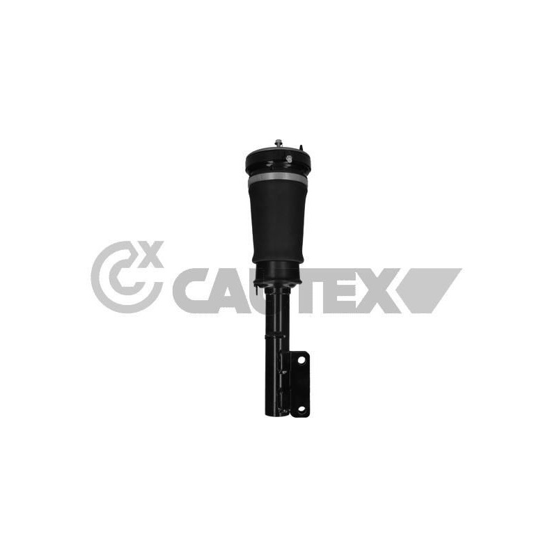 Ammortizzatore asse anteriore - CAUTEX GOMMA E PARTI MOTORE