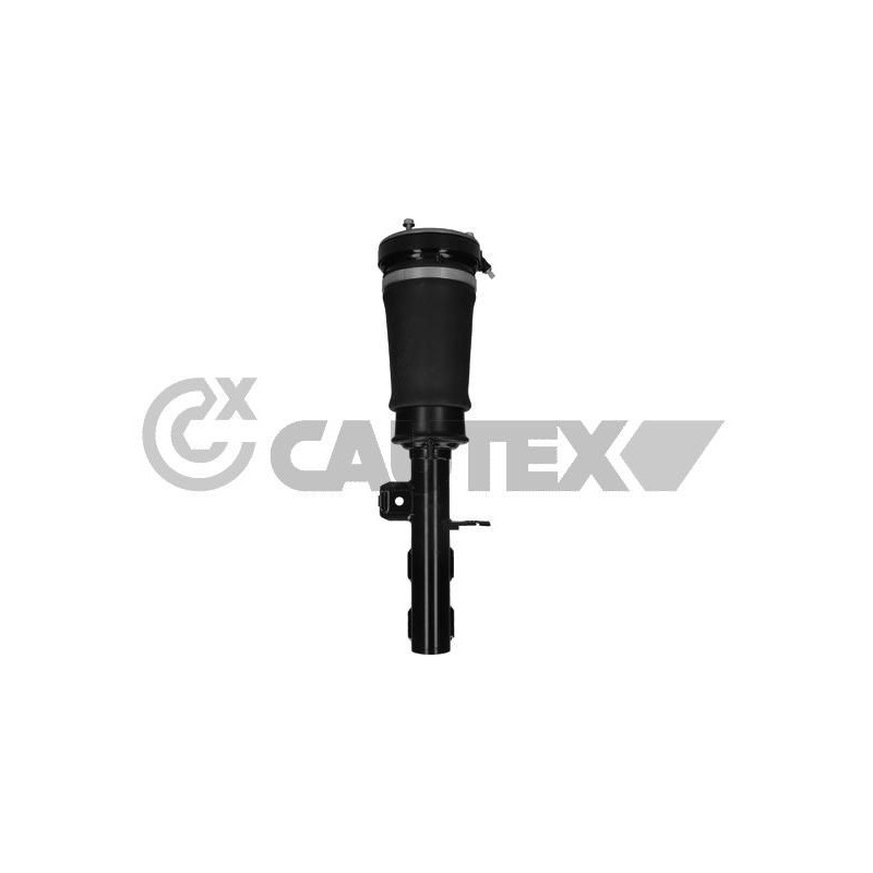 Ammortizzatore asse anteriore - CAUTEX GOMMA E PARTI MOTORE