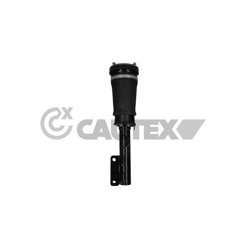 Ammortizzatore asse anteriore - CAUTEX GOMMA E PARTI MOTORE