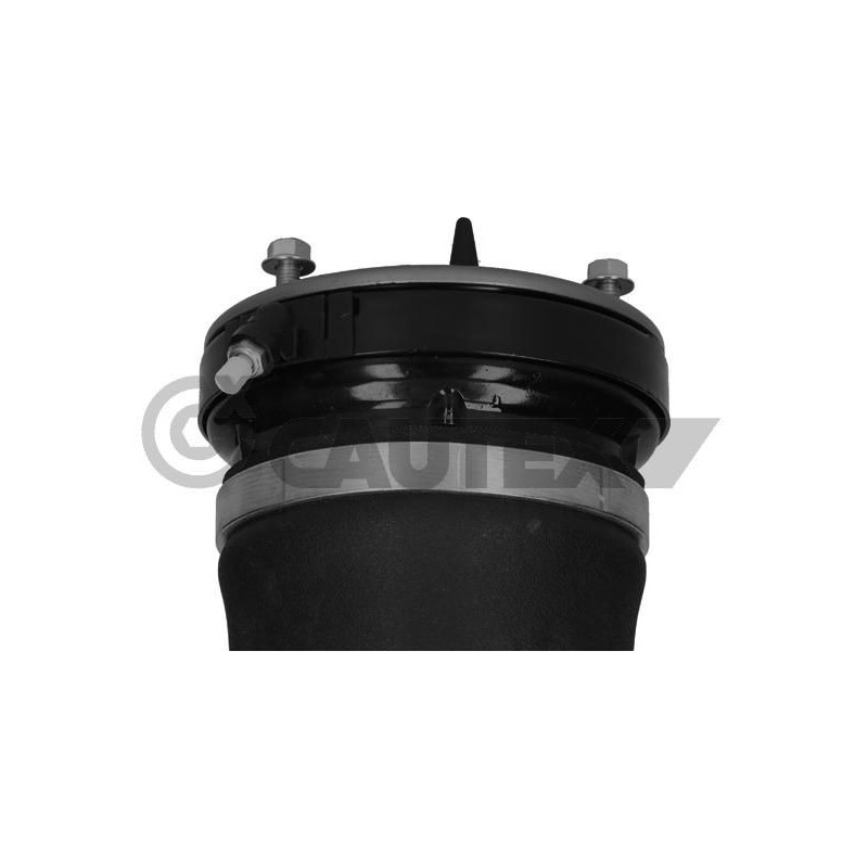 Ammortizzatore asse anteriore - CAUTEX GOMMA E PARTI MOTORE