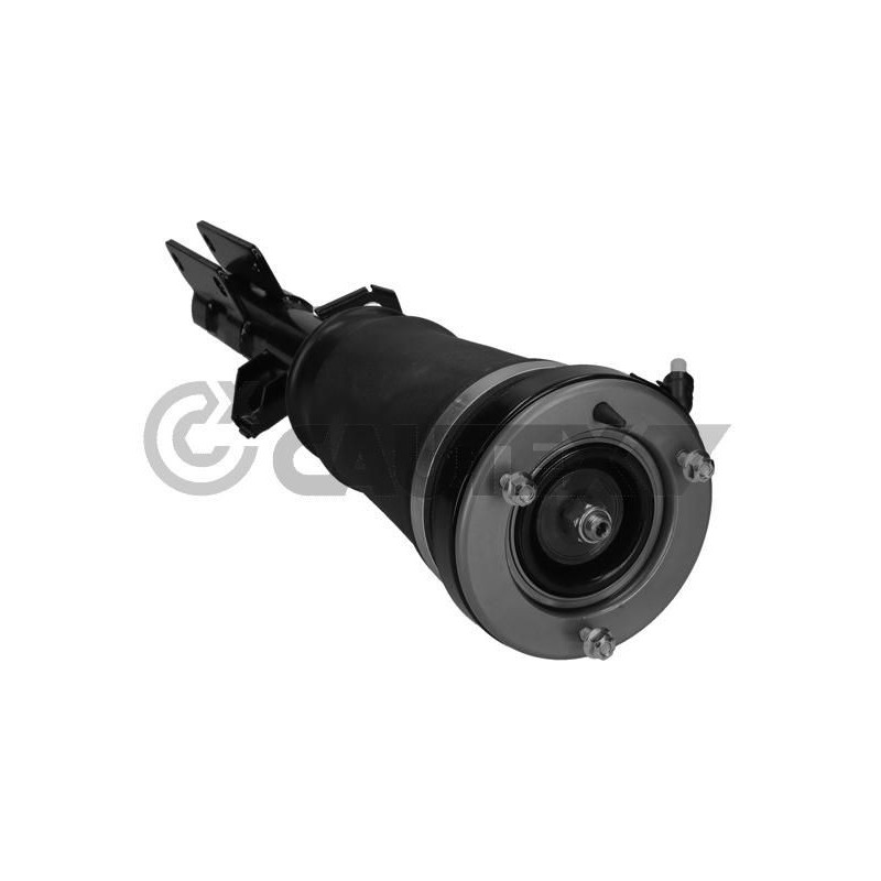 Ammortizzatore asse anteriore - CAUTEX GOMMA E PARTI MOTORE