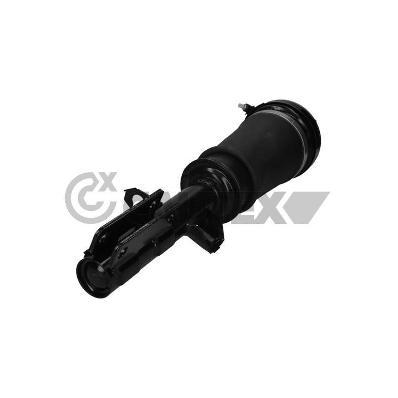 Ammortizzatore asse anteriore - CAUTEX GOMMA E PARTI MOTORE