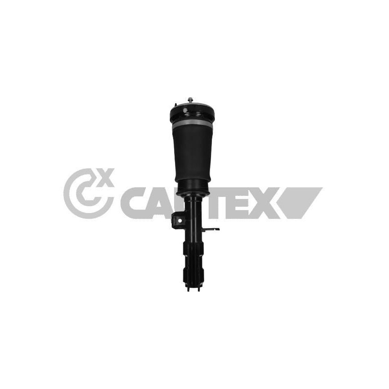 Ammortizzatore asse anteriore - CAUTEX GOMMA E PARTI MOTORE