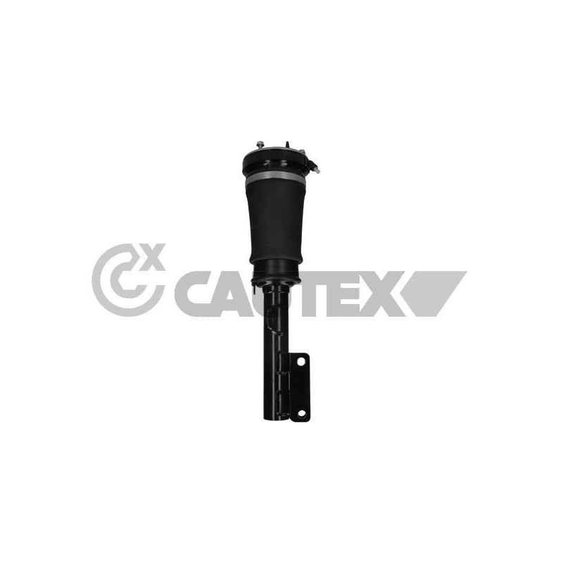Ammortizzatore asse anteriore - CAUTEX GOMMA E PARTI MOTORE