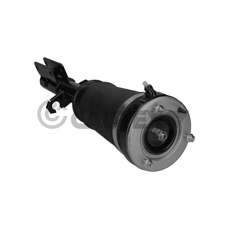 Ammortizzatore asse anteriore - CAUTEX GOMMA E PARTI MOTORE