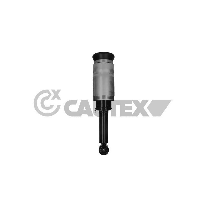 Ammortizzatore asse anteriore - CAUTEX GOMMA E PARTI MOTORE