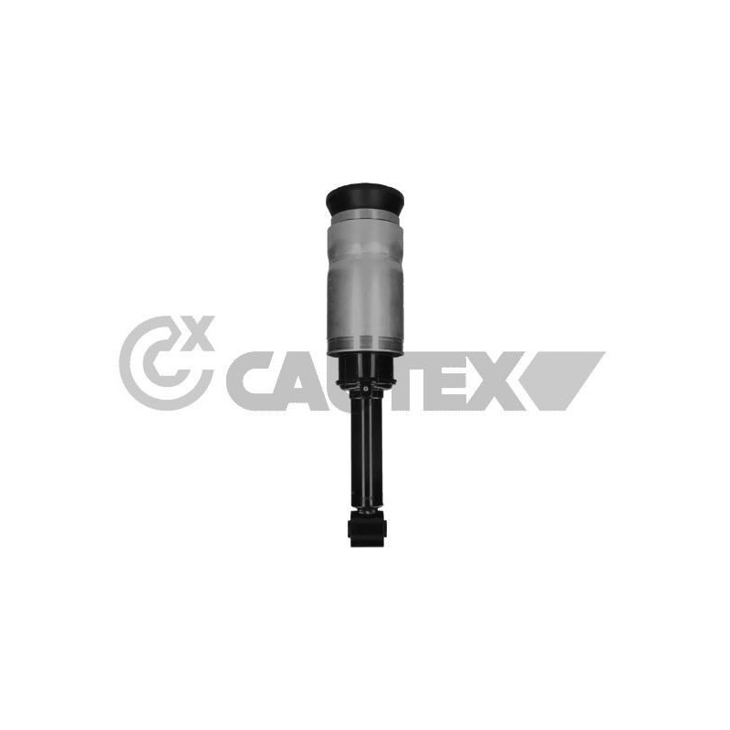 Ammortizzatore asse anteriore - CAUTEX GOMMA E PARTI MOTORE