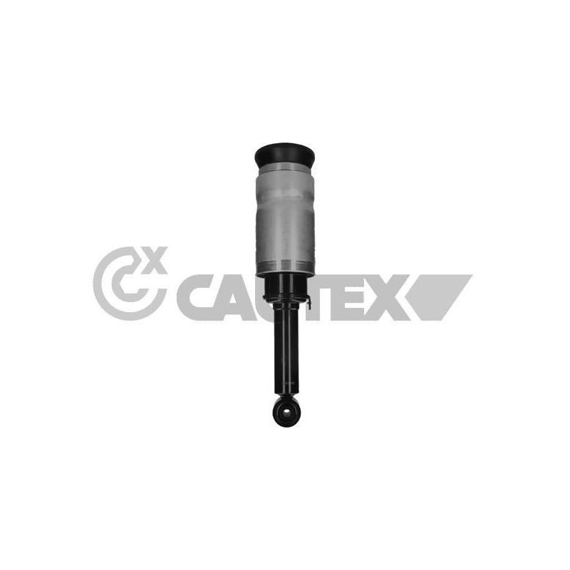 Ammortizzatore asse anteriore - CAUTEX GOMMA E PARTI MOTORE