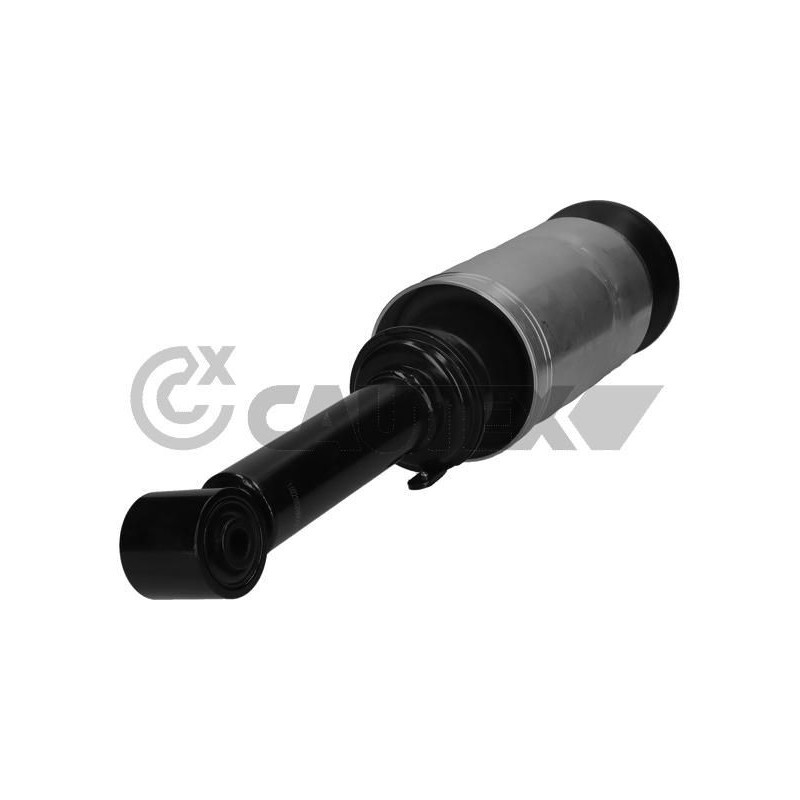 Ammortizzatore asse anteriore - CAUTEX GOMMA E PARTI MOTORE