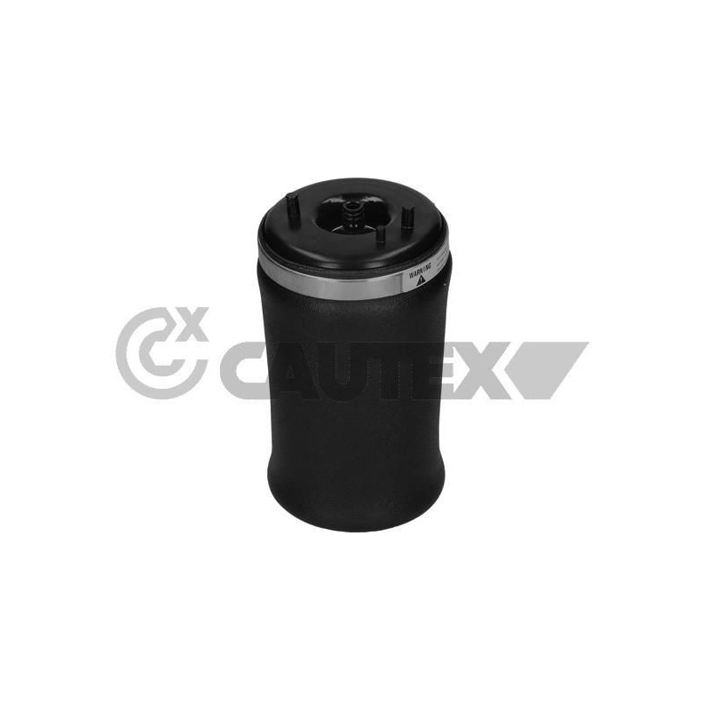 Ammortizzatore asse posteriore - CAUTEX GOMMA E PARTI MOTORE