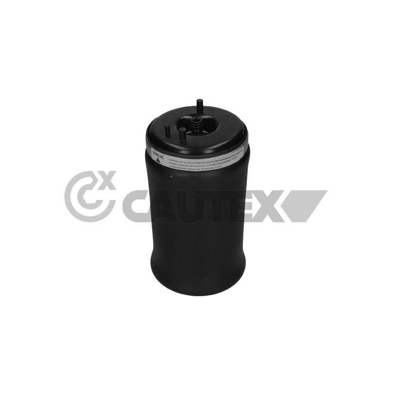 Ammortizzatore asse posteriore - CAUTEX GOMMA E PARTI MOTORE