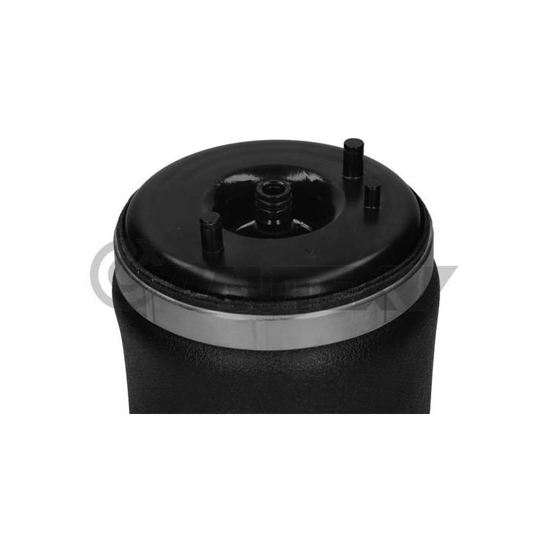 Ammortizzatore asse posteriore - CAUTEX GOMMA E PARTI MOTORE