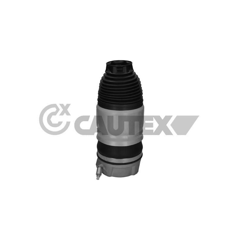 Ammortizzatore asse anteriore - CAUTEX GOMMA E PARTI MOTORE