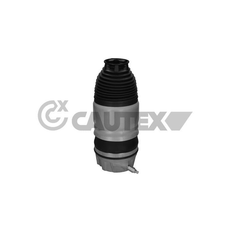 Ammortizzatore asse anteriore - CAUTEX GOMMA E PARTI MOTORE