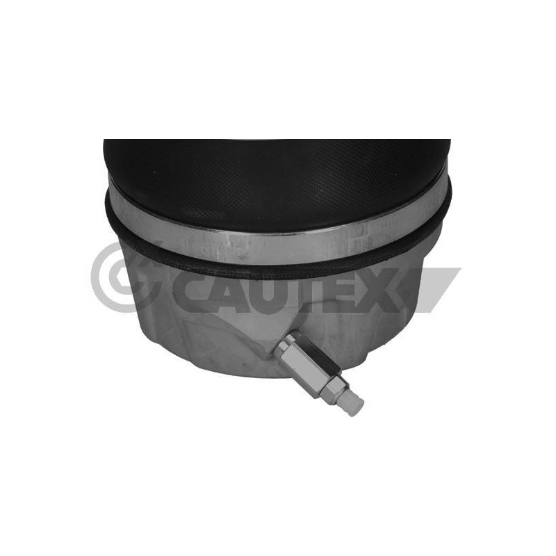 Ammortizzatore asse anteriore - CAUTEX GOMMA E PARTI MOTORE