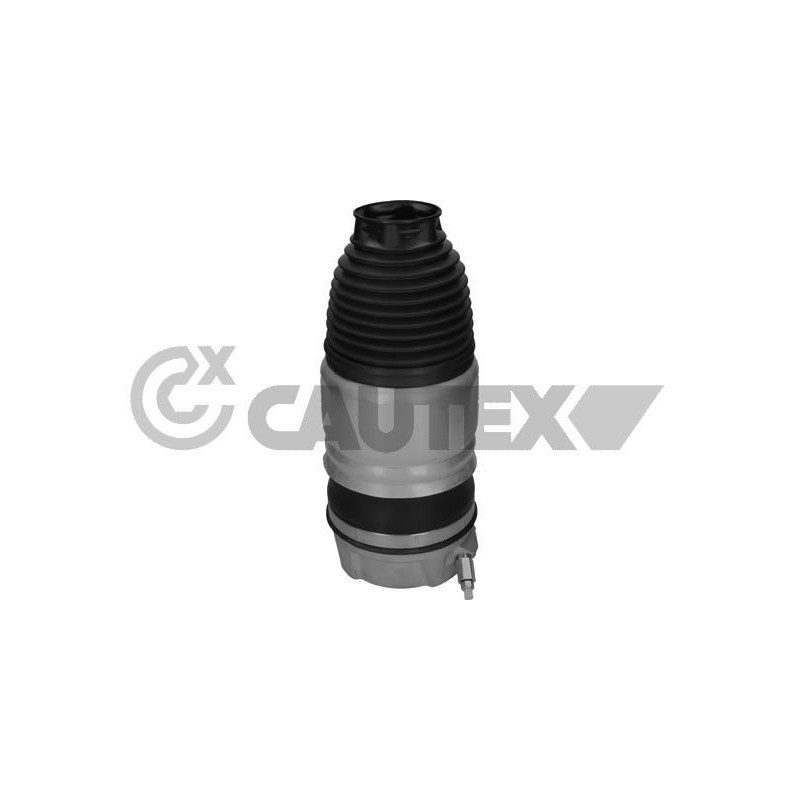 Ammortizzatore asse anteriore - CAUTEX GOMMA E PARTI MOTORE