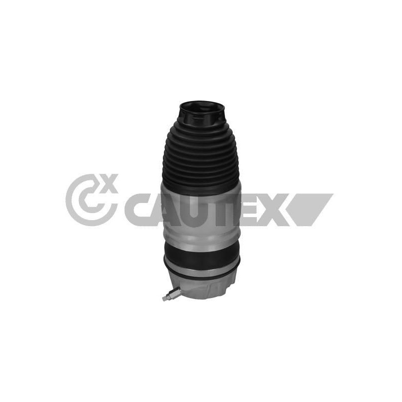 Ammortizzatore asse anteriore - CAUTEX GOMMA E PARTI MOTORE