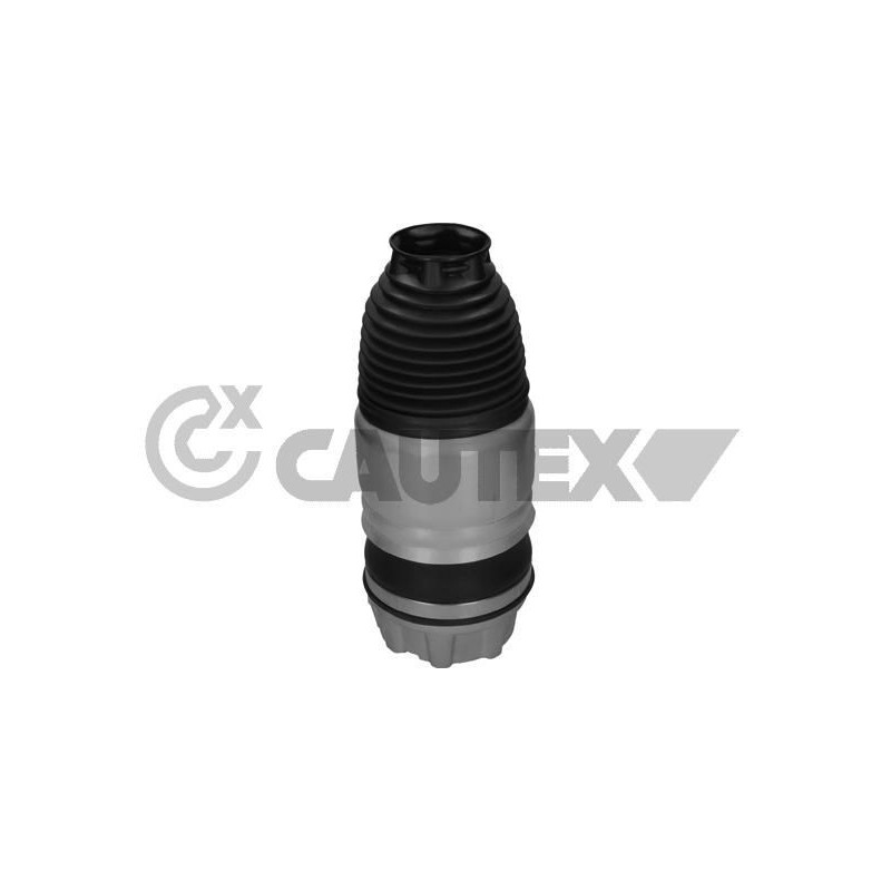 Ammortizzatore asse anteriore - CAUTEX GOMMA E PARTI MOTORE