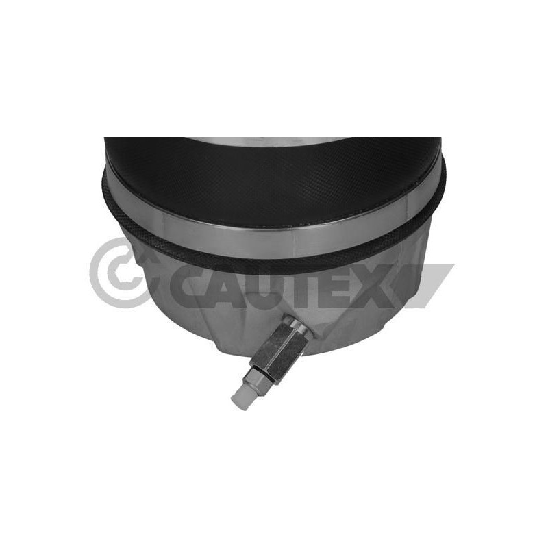 Ammortizzatore asse anteriore - CAUTEX GOMMA E PARTI MOTORE