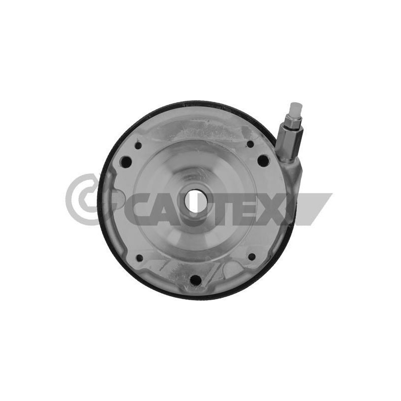 Ammortizzatore asse anteriore - CAUTEX GOMMA E PARTI MOTORE