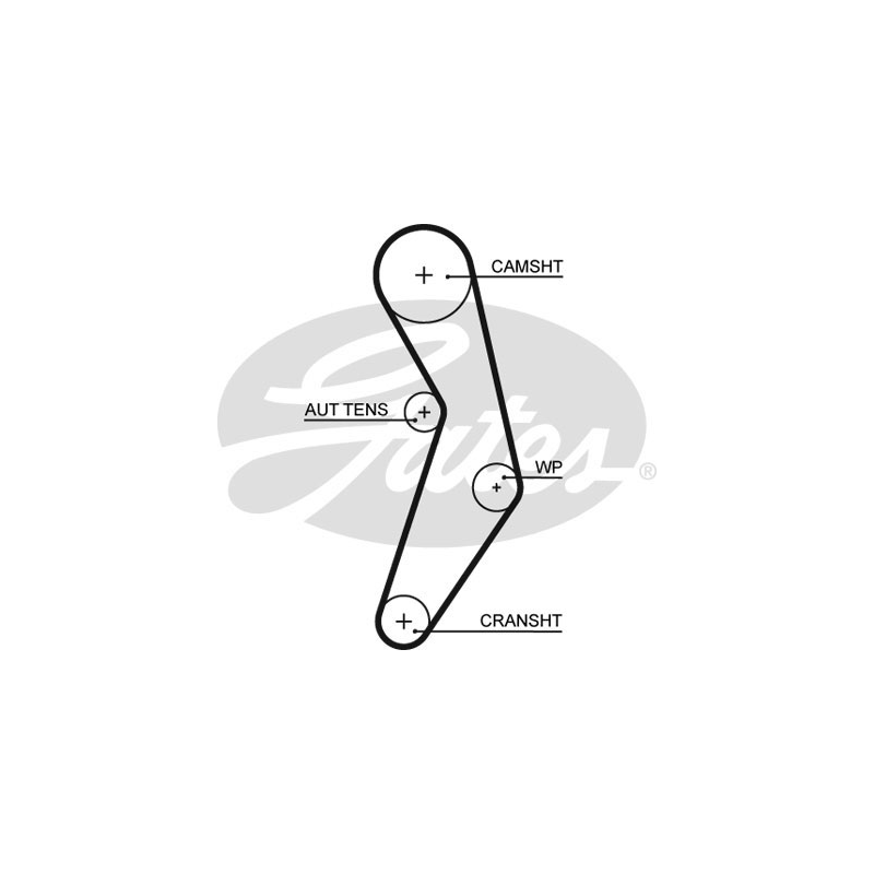 Kit distribuzione - GATES