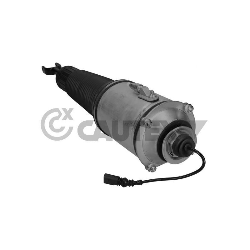 Ammortizzatore asse anteriore - CAUTEX GOMMA E PARTI MOTORE