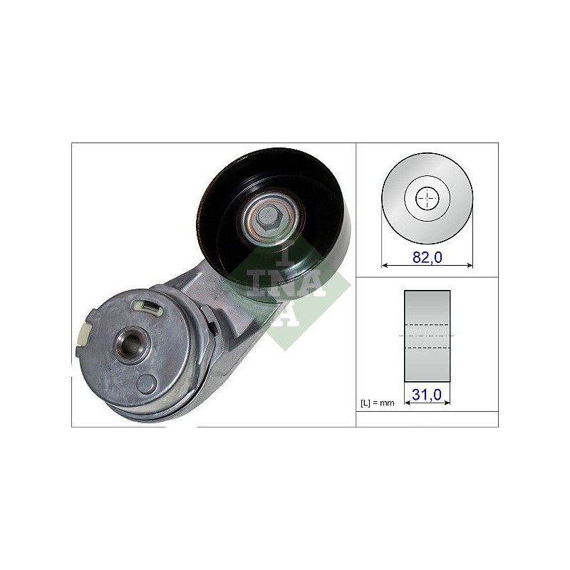 Tendicinghia trapezoidale - INA