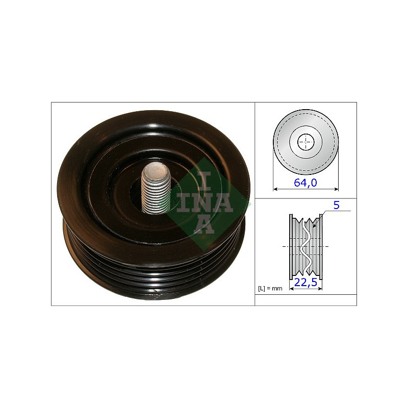 Tendicinghia trapezoidale - INA