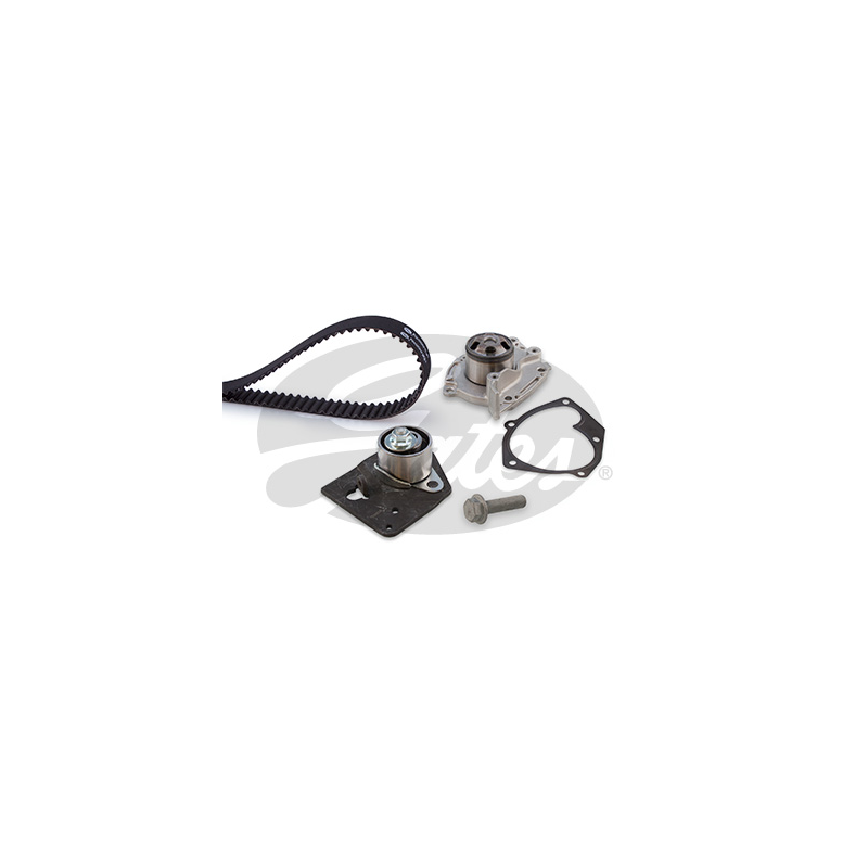 Kit distribuzione - GATES