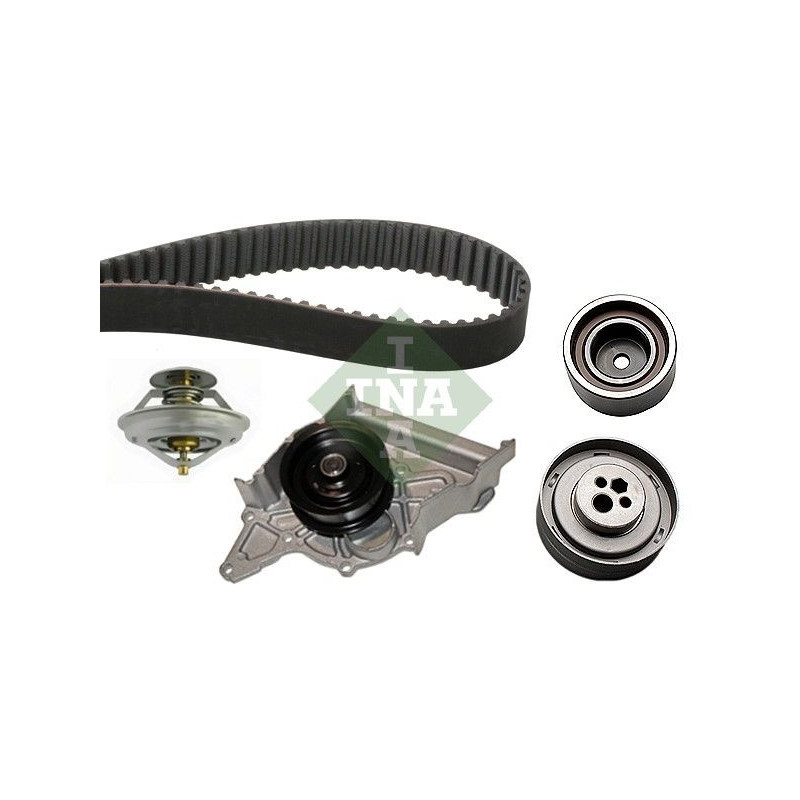 Kit distribuzione - INA