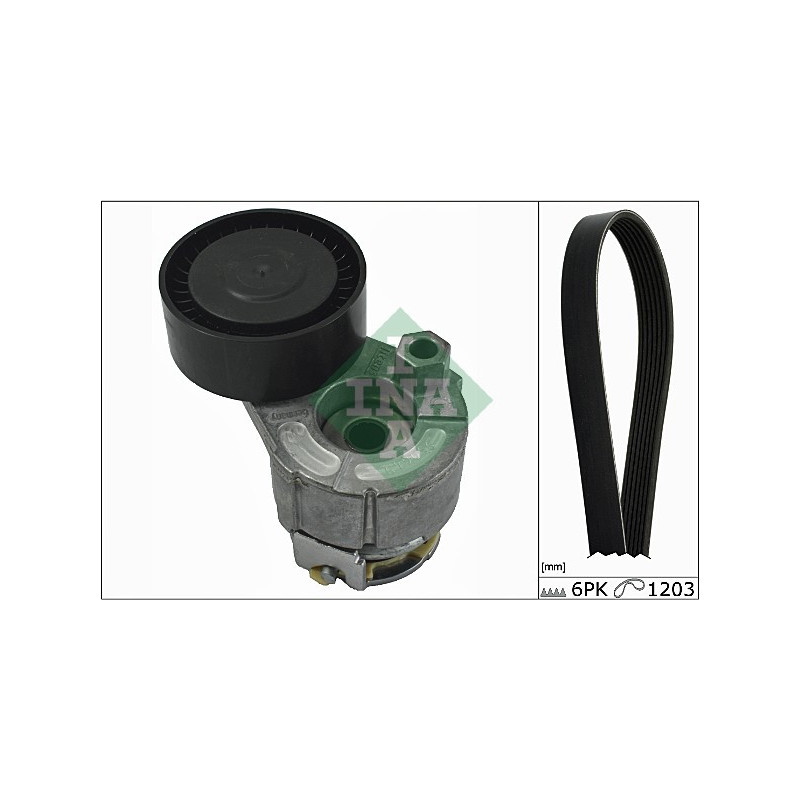 Tendicinghia trapezoidale - INA