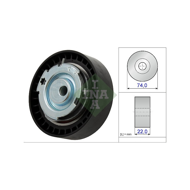 Tendicinghia distribuzione - INA