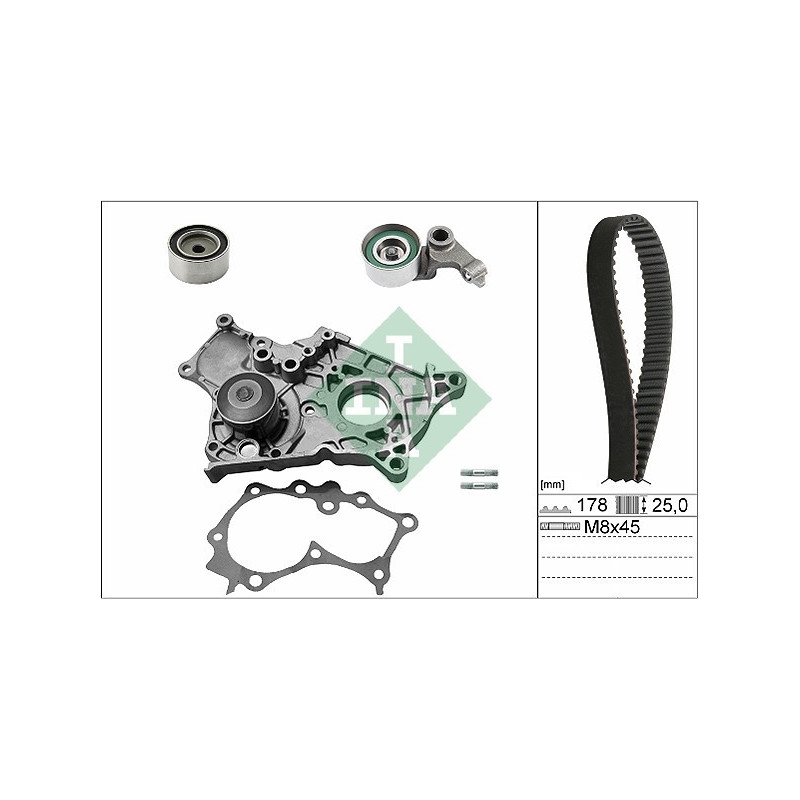 Tendicinghia trapezoidale - INA