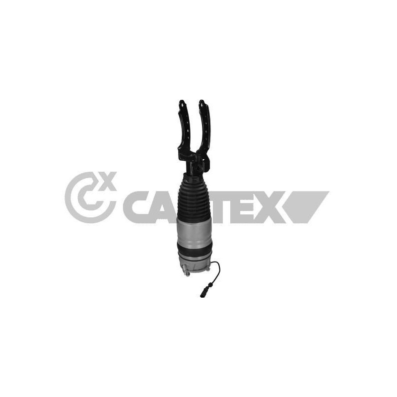 Ammortizzatore asse anteriore - CAUTEX GOMMA E PARTI MOTORE
