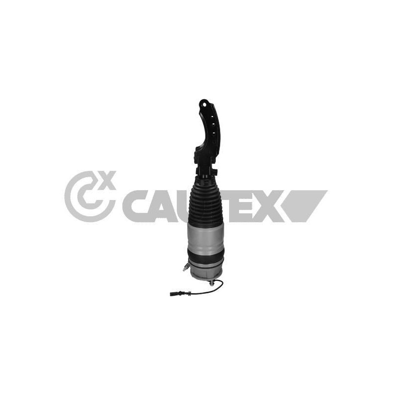 Ammortizzatore asse anteriore - CAUTEX GOMMA E PARTI MOTORE